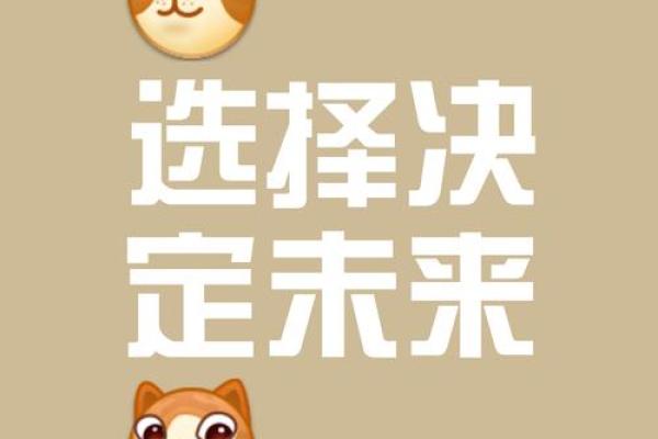 选择你的未来:命运由你掌控的玄机与智慧 选择你的未来:命运由你掌控的玄机与智慧