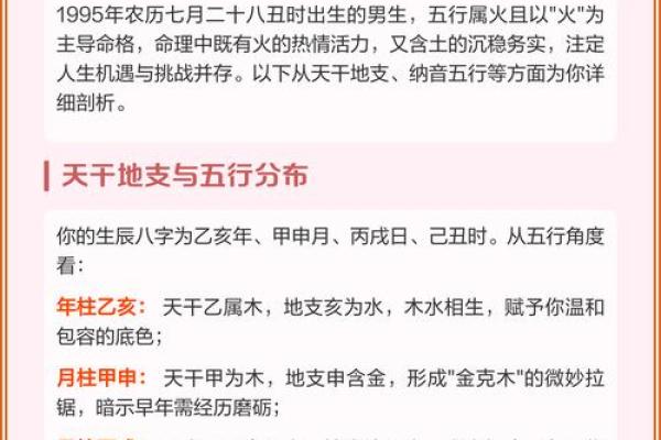 探索己亥年出生者的命理特征与性格解析 探索己亥年出生者的命理特征与性格解析