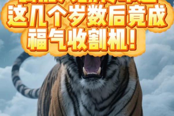 1962年属虎人的命运分析与人生启示 1962年属虎人的命运分析与人生启示