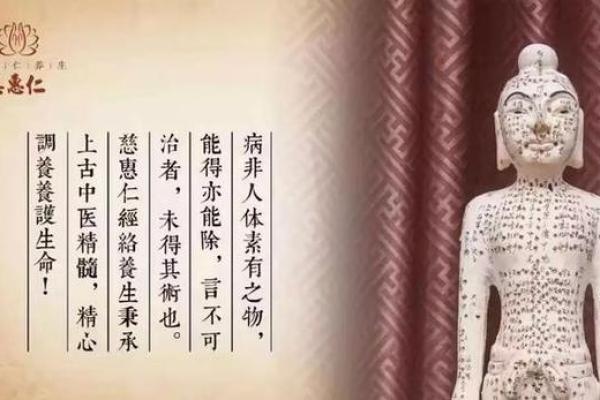 为何老公的命运如此短暂?深入探讨生活与健康的秘密 为何老公的命运如此短暂?深入探讨生活与健康的秘密