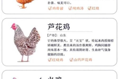 69属鸡：探秘土命鸡的性格与命运