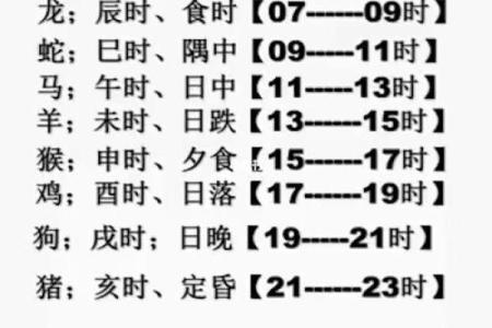 解析乙亥戊子辛巳戊子的命理特征与人生建议