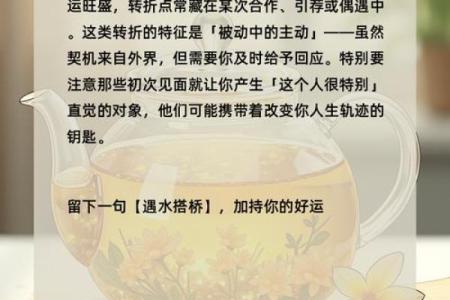 探索命运的奥秘：怎样把握生命中的每一个转折点