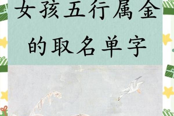 为金命女孩取名 赋予美好寓意的名字选择指南 为金命女孩取名 赋予美好寓意的名字选择指南