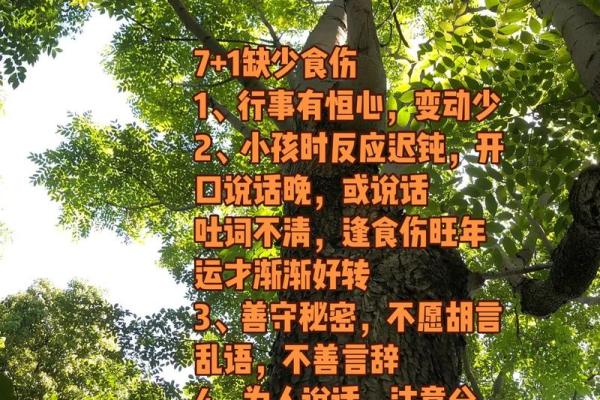 易经智慧:揭示命理与脾气之间的深层联系 易经智慧:揭示命理与脾气之间的深层联系