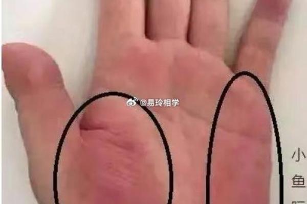中指不全的人命运如何?揭示隐藏的生活智慧与成长之路 中指不全的人命运如何?揭示隐藏的生活智慧与成长之路