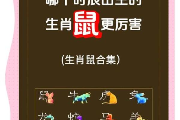 2020鼠年宝宝命理解析:了解你的命格与成长之路! 2020鼠年宝宝命理解析:了解你的命格与成长之路!
