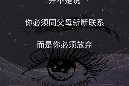 从小没有爸爸的命：寻找内心的光芒与坚韧