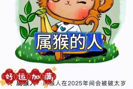 属猴人命理与颜色搭配：巧用色彩提升运势！