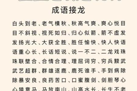 成语接龙的魅力：探秘语言的无尽奥秘与趣味