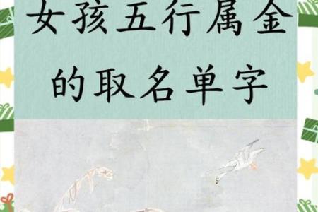 为金命女孩取名 赋予美好寓意的名字选择指南