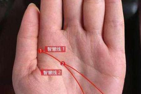 中指不全的人命运如何？揭示隐藏的生活智慧与成长之路