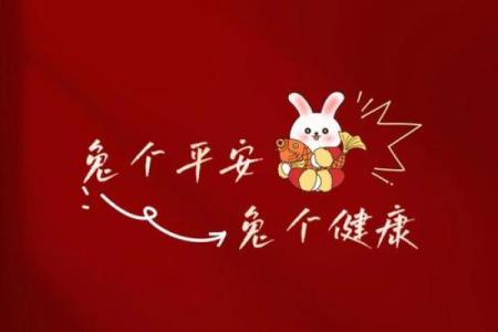 火兔午时女孩的命运解析：如何掌握自己的生活轨迹