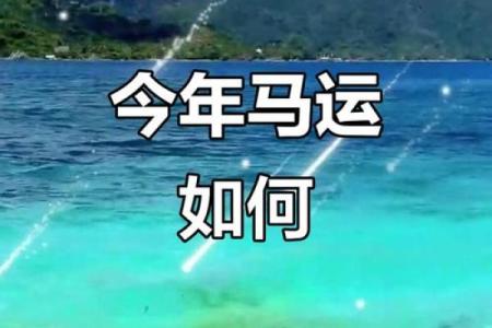 2002年是马年，探寻马年命主的性格、运势与生活智慧