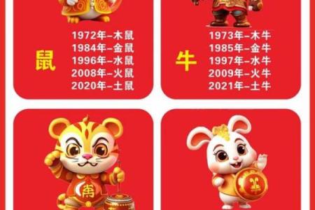 2020鼠年宝宝命理解析：了解你的命格与成长之路！