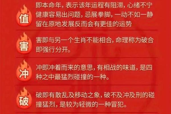 青龙命格:揭示命运的守护神与能量之源 青龙命格:揭示命运的守护神与能量之源