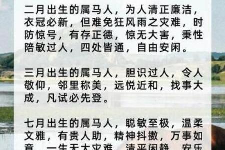 50岁以上属马人士的命运解析与生活智慧