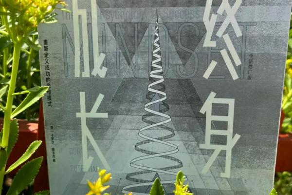 从16到55岁:探索命运与成长的旅程 从16到55岁:探索命运与成长的旅程