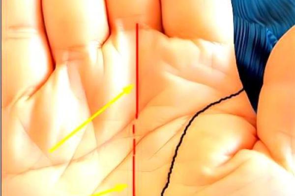 女生有喉结的命运解密:她们的独特魅力与人生轨迹 女生有喉结的命运解密:她们的独特魅力与人生轨迹