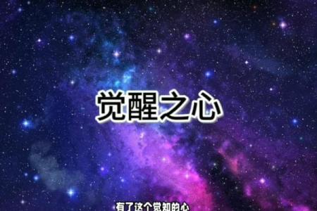 漂泊的命运：寻求归属与心灵的觉醒