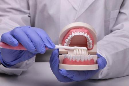 探索牙科种子的未来：助力口腔健康的新希望