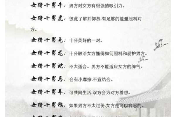 2007属猪人的命运分析：幸福与挑战并存的一生