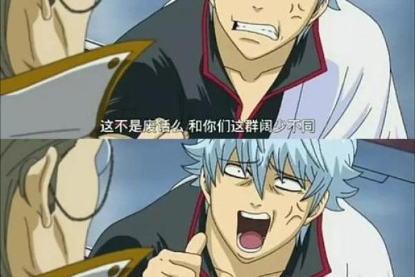 《拼什么命啊》：一场以生命为赌注的热血追逐之旅