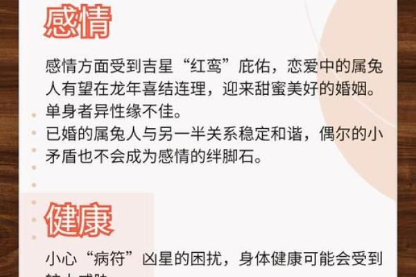 探秘1963年兔年：命运与性格的完整解析