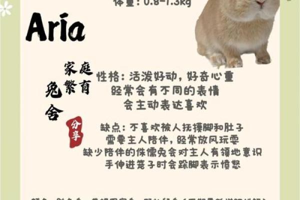 探秘1963年兔年：命运与性格的完整解析