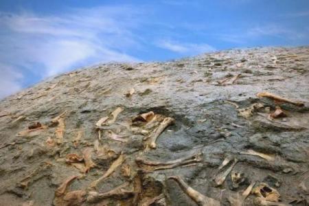 甲午年丙子月命理解析：探寻命运之谜，掌握人生转机！