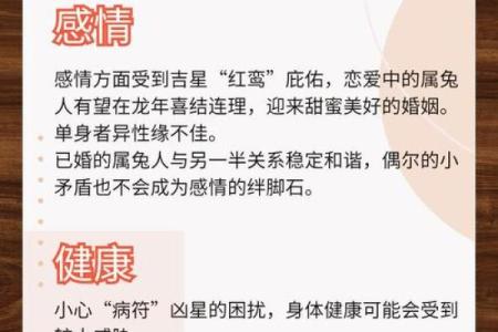 探秘1963年兔年：命运与性格的完整解析