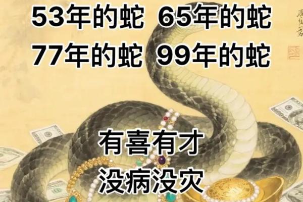 65年属蛇的命运解析：揭开成功与挑战的双面故事