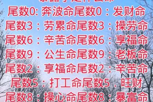 27岁属什么命?揭示你的命理与人生方向! 27岁属什么命?揭示你的命理与人生方向!