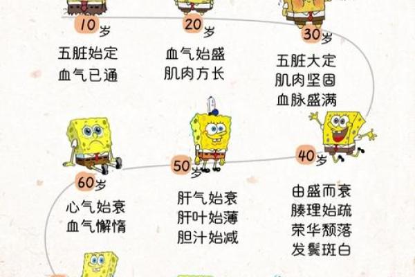 一九六五年出生者的命格解析:探索独特人生轨迹与性格特征 一九六五年出生者的命格解析:探索独特人生轨迹与性格特征