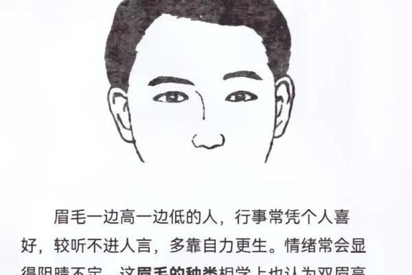 男孩眉毛长的特别命运：揭示眉毛与性格的微妙关系