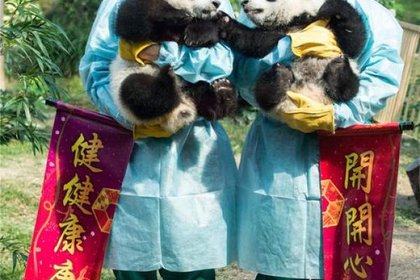 2020年除夕出生的宝宝命理解析:万象更新,富贵双全的未来! 2020年除夕出生的宝宝命理解析:万象更新,富贵双全的未来!