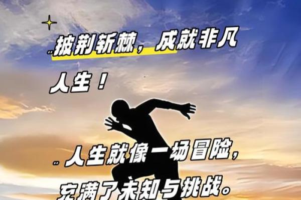 命里无官，如何理解与应对人生的挑战与机遇