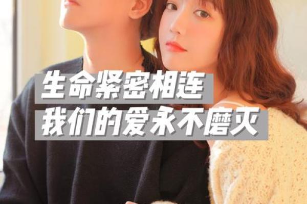 当一命还一命，相互交织的情感之歌