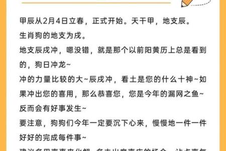 1982年属狗：命运与性格分析，揭示人生之玄机！