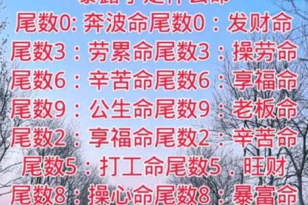 27岁属什么命？揭示你的命理与人生方向！