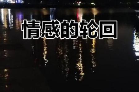 当一命还一命，相互交织的情感之歌