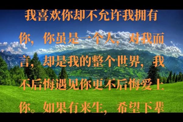 2023年兔子命运解析：幸运与挑战并存的精彩人生