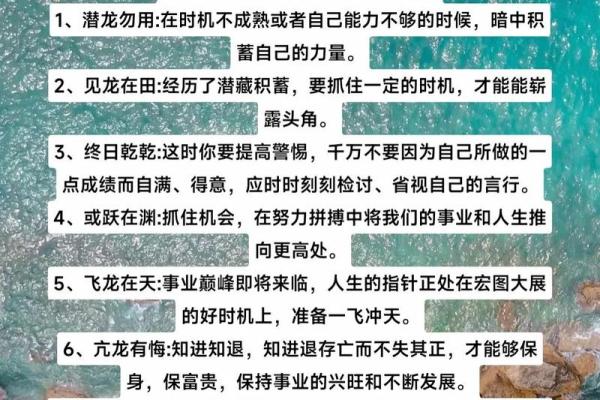 揭秘金马命的奥秘：如何运用五行之力走向人生巅峰