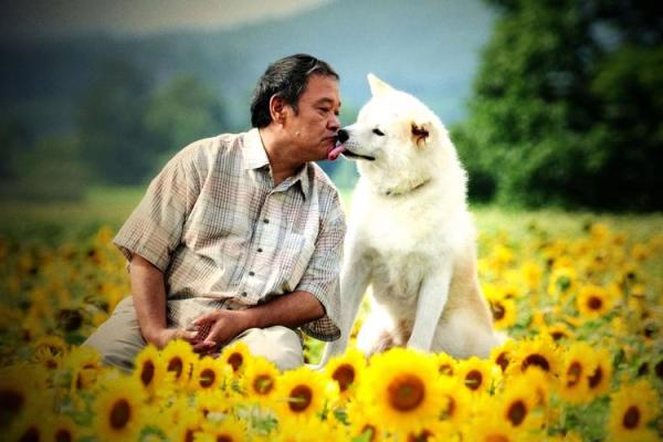 1994年属狗:守护忠诚与信念的命运之旅 1994年属狗:守护忠诚与信念的命运之旅