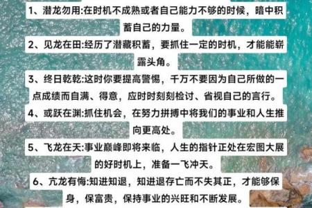 揭秘金马命的奥秘：如何运用五行之力走向人生巅峰