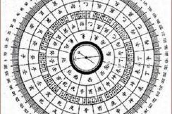 水命背部纹颜色与命理之美的探讨