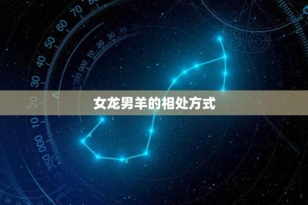 龙丈夫的媳妇：命运与生活的奇妙交融