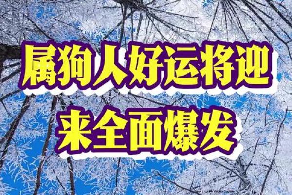 51岁属狗女性的命理解析：掌握人生的好运与挑战