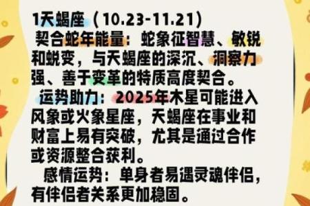 977年蛇命解析：隐秘与智慧的结合，探索蛇年人的命运之道