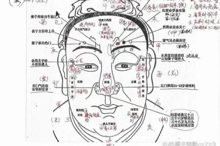 什么样的命格可能长相高贵？揭秘高贵面相的秘密！